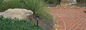 Landscape Details